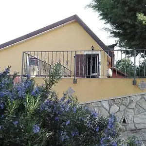 Edera Cammarata